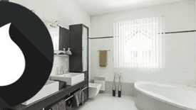 Image Component
