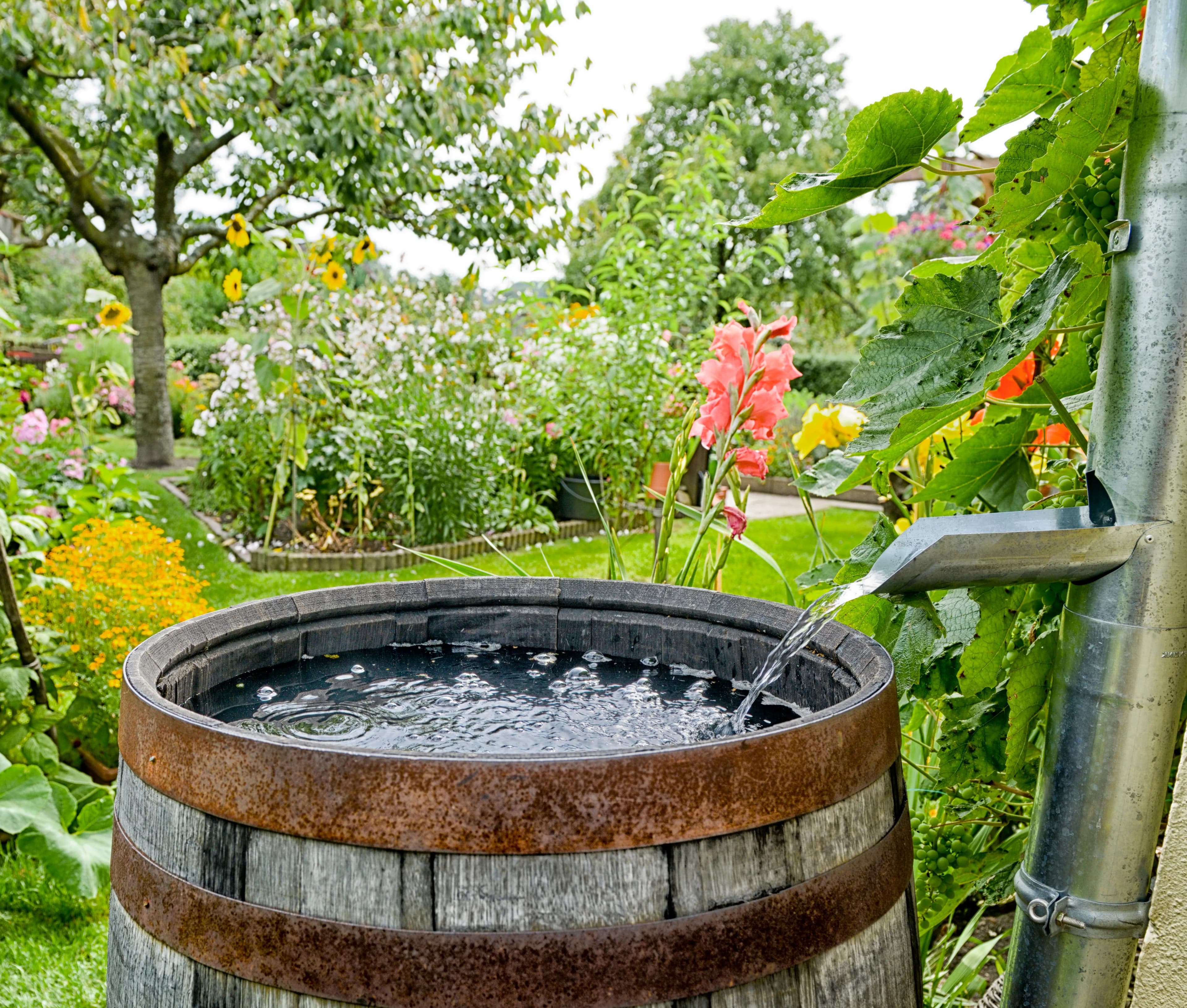 Regenwassernutzung im Haus Freistadt
